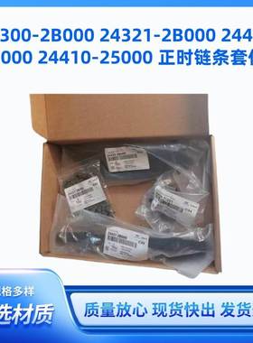 24300-2B000 24321-2B000 24431-2B000 24410-25000 正时链条套件