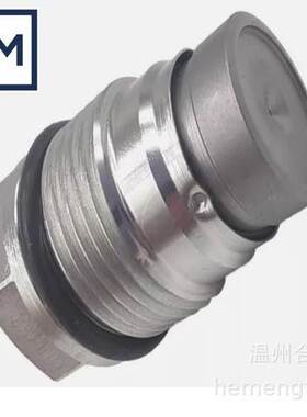 OE：55230826 1110010026适用菲亚特阿尔法燃油轨泄压阀