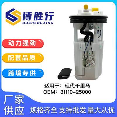 适用于现代千里马汽车燃油泵总成汽油泵芯31110-25000 3111025010