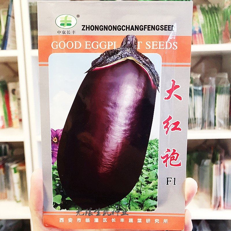 紫黑罐茄子种子 大红袍茄子种春夏秋季蔬菜种籽牛心茄椭圆茄种籽
