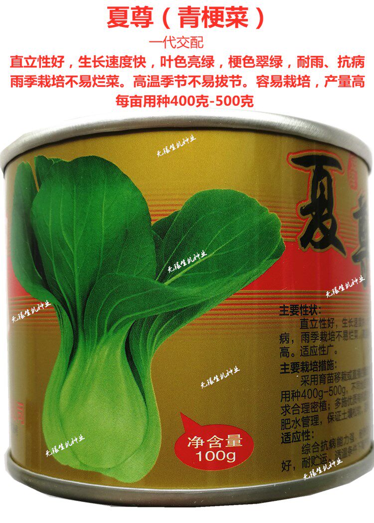 春夏季耐热菜种夏尊青梗菜种子抗病耐热菜种农家四季德高k596青菜
