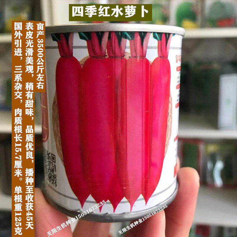 四季红水萝卜种子红皮白芯心萝卜种籽春夏秋冬四季阳台盆栽蔬菜孑