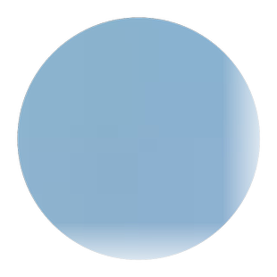 观赏向日葵种子向阳花种子景观花海种子油葵种子葵花种子易种包邮