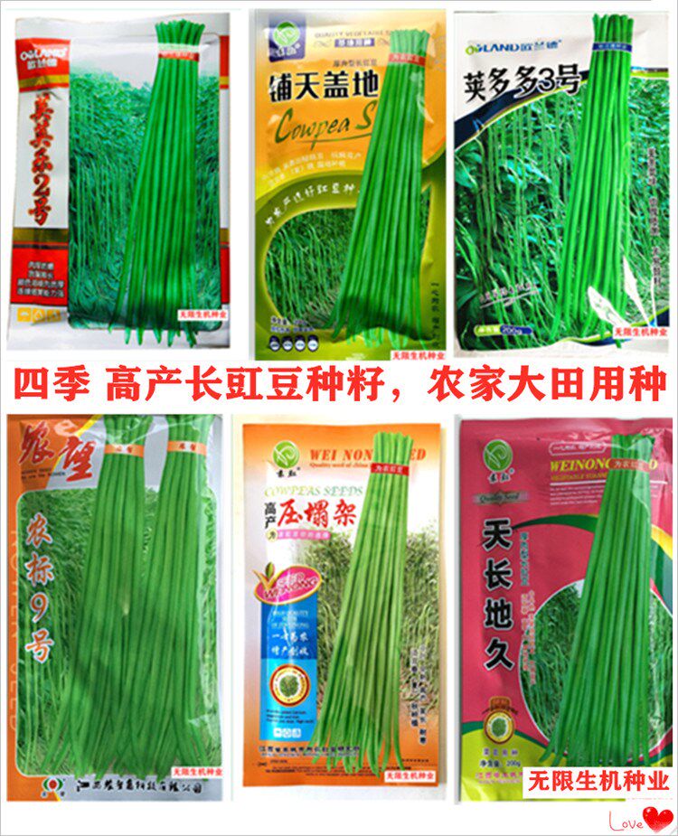 秋冬抗热长豇豆种籽荚荚乐2号荚多多3号豆种厚肉高产农家豆角种子