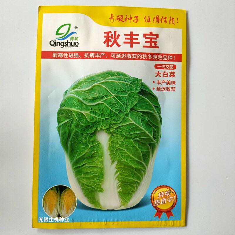 黄心白菜种子 秋丰宝 黄芯大白菜种籽冬储白菜耐寒秋冬季蔬菜孑