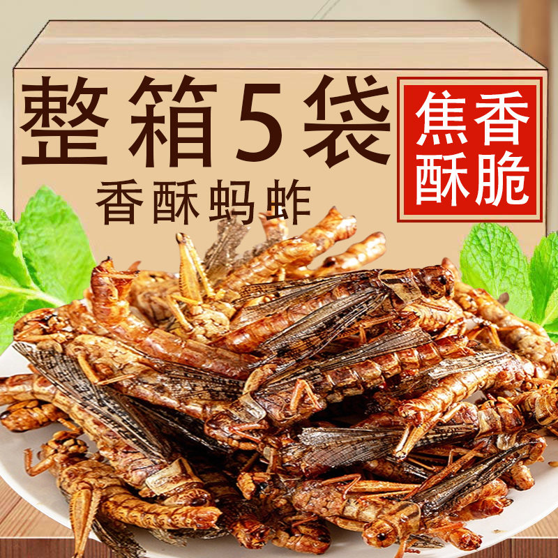 香酥蚂蚱开袋即食山东特产下酒菜油炸蝗虫香辣孜然昆虫下酒小零食