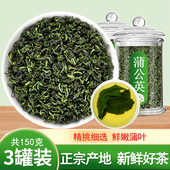 野生长白山蒲公英官方正品 菊花决明子散中药材泡水喝结蒲公英叶茶