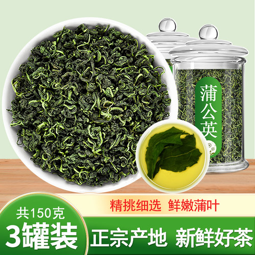 高品质野采长白山蒲公英茶