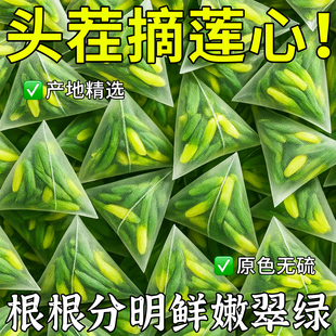 新货莲子芯正品天然养生茶包莲心茶干货独立包装芯儿清心头茬莲子