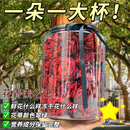 云南墨红玫瑰花茶官方旗舰店冷萃水冻干柠檬重瓣玫瑰花冠平阴大朵