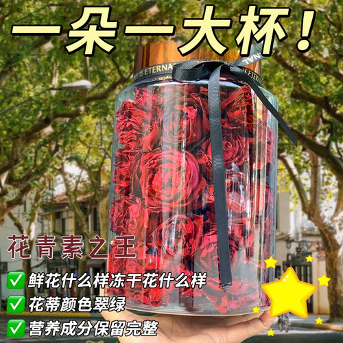 云南天然墨红玫瑰重瓣大朵