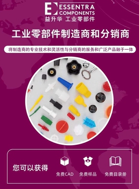 ESSENTRA益升华配电箱锁电气柜多功能型SR5522手柄式工具型转舌锁