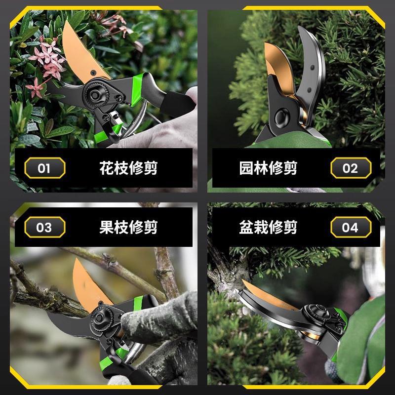 修枝剪园艺剪刀剪树枝专用园林修剪果树修枝花艺修花剪刀