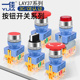11DNZS 一佳电源启动自锁带灯按钮开关带锁24V220VLAY37Y090