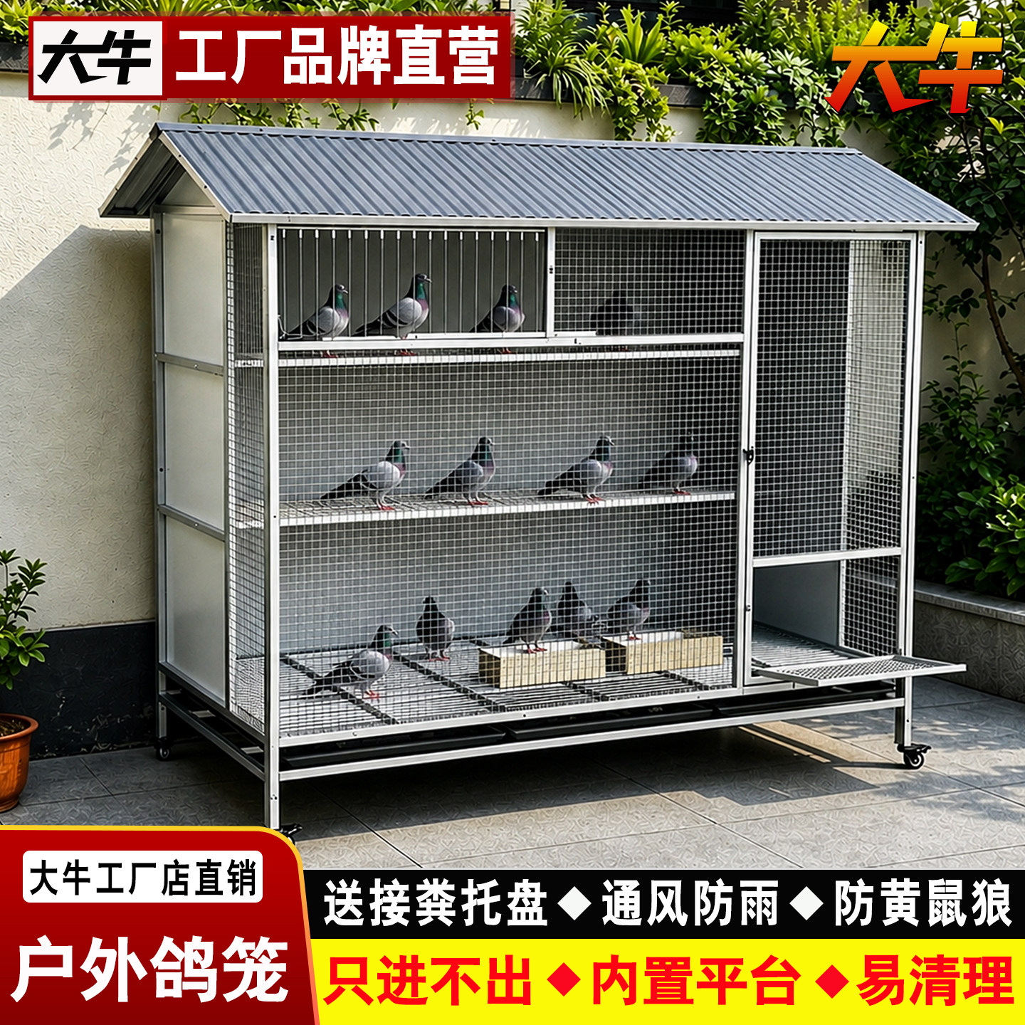 大牛镀锌家用大号鸽子笼只进不出图片