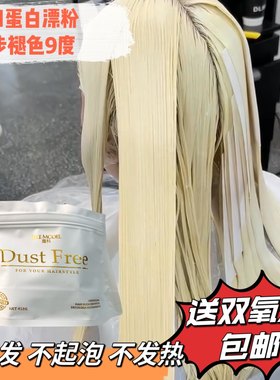 进口魔枓日系蛋白漂粉褪浅色膏剂爆点潮粉不伤发发廊专用毛白剂