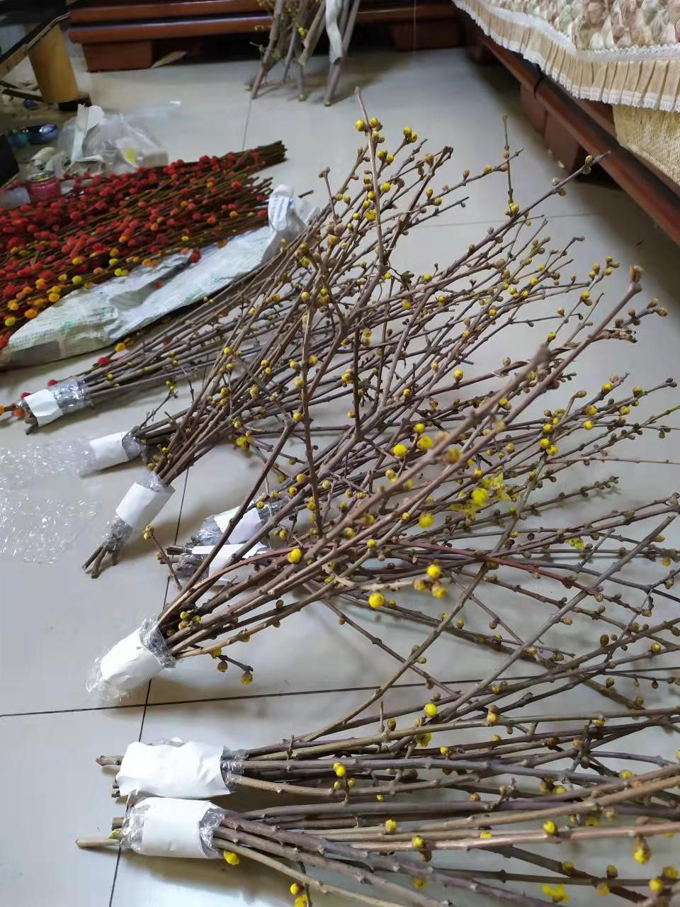腊梅鲜花干枝腊梅水养枝条腊梅切花清香扑鼻真花鲜枝银柳干花水培