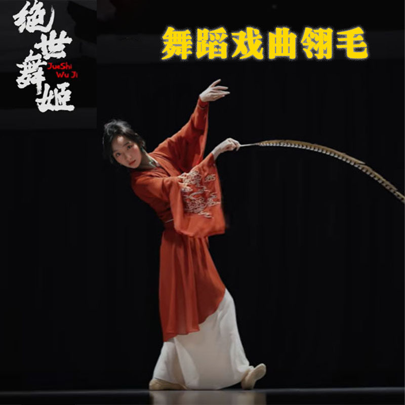绝世舞姬同款羽毛翎羽舞蹈道具国风头饰戏曲翎子羽毛舞台跳舞专用 - 实物图