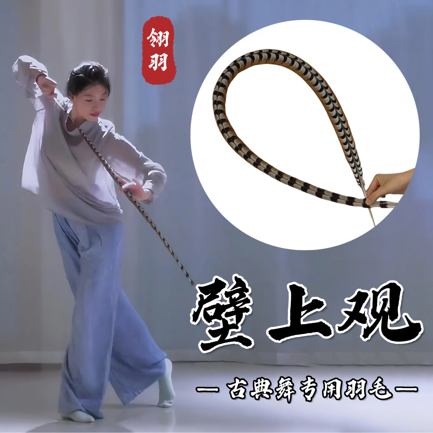 翎子舞蹈道具壁上观翎羽京剧戏曲翎羽毛灵羽古典舞蹈跳舞专用羽毛