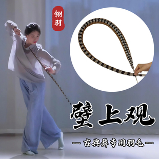 翎子舞蹈道具壁上观翎羽京剧戏曲翎羽毛灵羽古典舞蹈跳舞专用羽毛