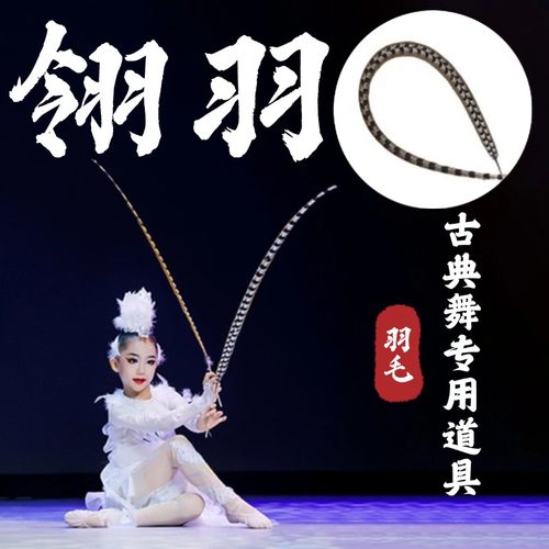 翎羽毛道具儿童跳舞专用戏曲头饰