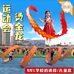 舞龙彩带儿童运动会入场创意道具甩龙中国龙健身耍龙活动表演道具