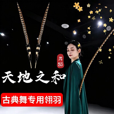 天地之和翎羽古典舞跳舞专用羽毛
