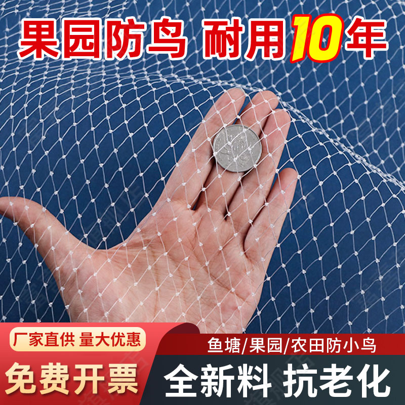 防鸟网果树果园大棚尼龙线防乌网阳台樱桃树葡萄窗户鱼塘用的天网
