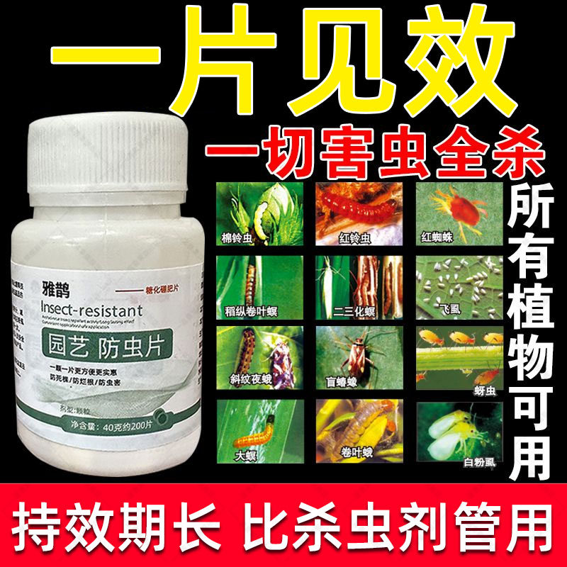 园艺防虫片糖化硼肥片绿植花卉防虫颗粒园艺驱虫片驱蚊虫防飞蚜虫
