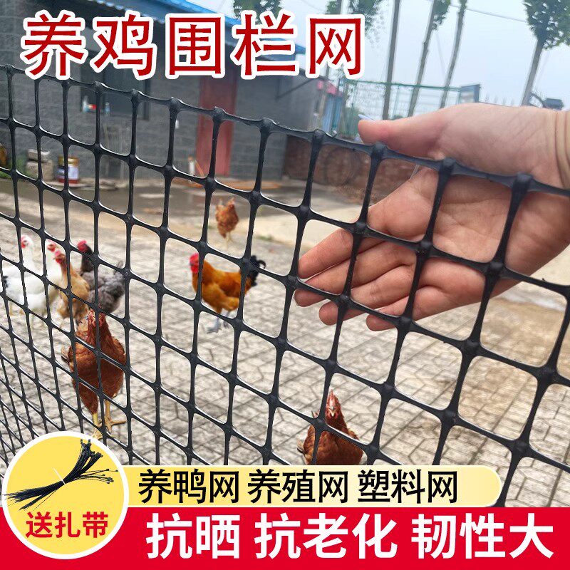 养鸡围栏网家用拦鸡塑料家禽养殖防护网鸡舍篱笆围栏果园鱼塘栅栏