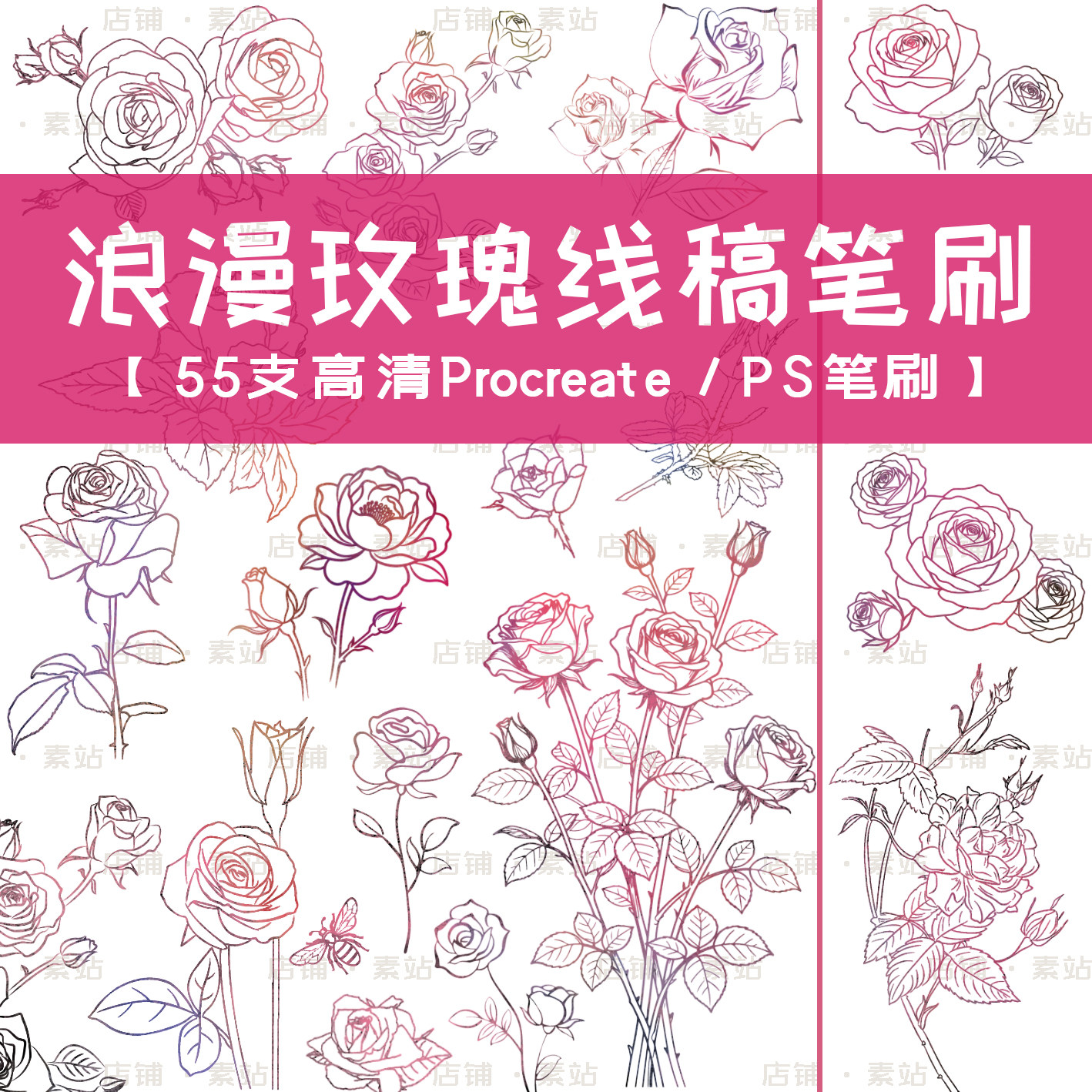 超高清玫瑰线稿笔刷 植物花朵线条玫瑰花图案 Procreate/PS笔刷