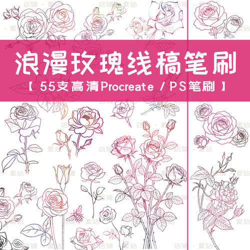 超高清玫瑰线稿笔刷 植物花朵线条玫瑰花图案 Procreate/PS笔刷