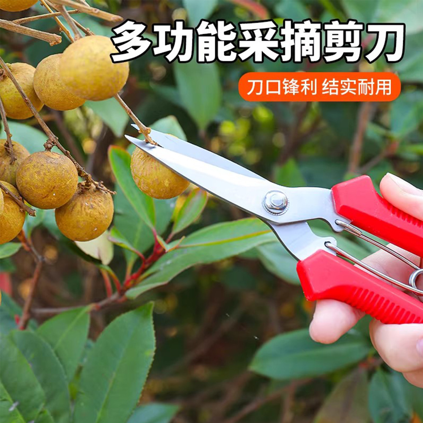 稀果剪葡萄采果剪柑橘剪桔子蔬果剪摘果剪果园果树剪采摘剪刀
