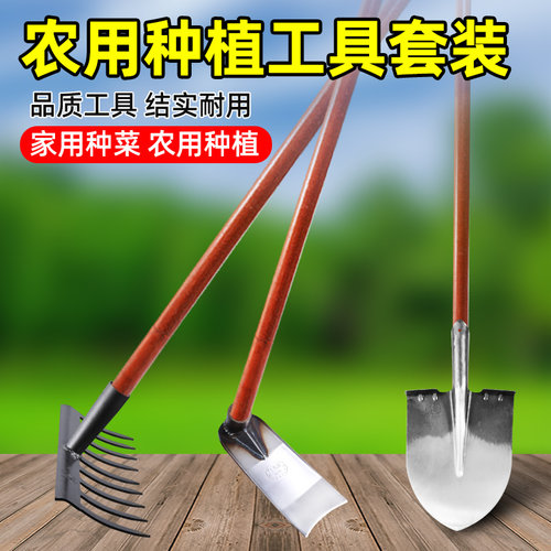 家用种菜地三件套铁锹锄头耙子