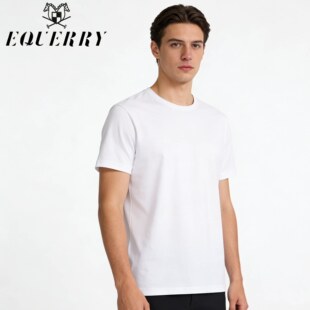 大愿专享 T恤 桑蚕丝混纺 春日上新圆领短袖 T708 EQ男装