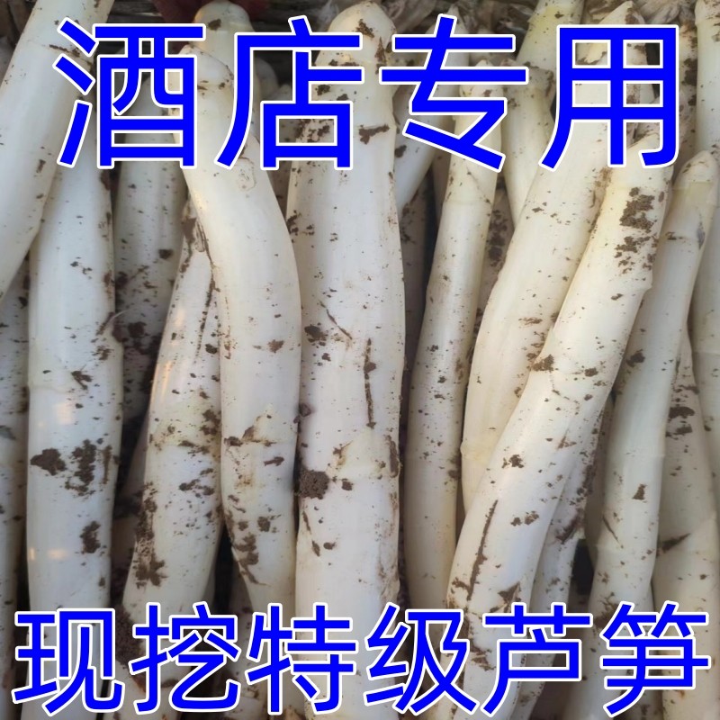 白芦笋新鲜当季头茬现摘酒店专用曹县特产芦笋特级芦笋嫩笋尖 5斤,水产肉类/新鲜蔬果/熟食,芦笋,淘宝优惠券,粉丝福利购,淘宝优惠卷