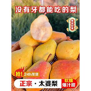 山东烟台太婆梨大头梨香蕉梨洋梨啤梨鸭广梨线梨车轴梨葫芦巴茄梨