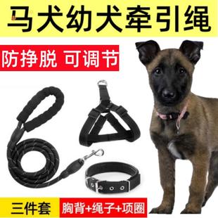 马犬幼犬专用牵引绳狗链小狗狗大型犬狗绳子项圈脖圈遛狗小型犬