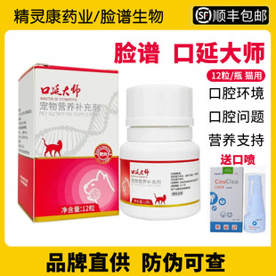 口延大师猫咪口炎流口水杯状病毒口腔环境烂牙龈红肿松动脸谱生物