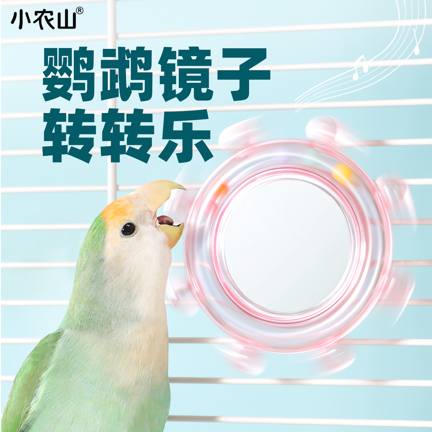 鹦鹉镜子转转乐鸟玩具