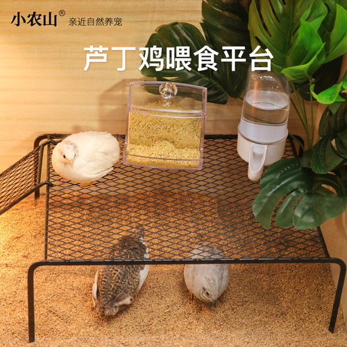芦丁鸡造景喂食饮水器置物架桌子