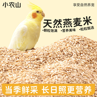 鹦鹉燕麦米鸟粮饲料虎皮牡丹玄凤小太阳专用鸟食燕麦仁麦粒自配粮