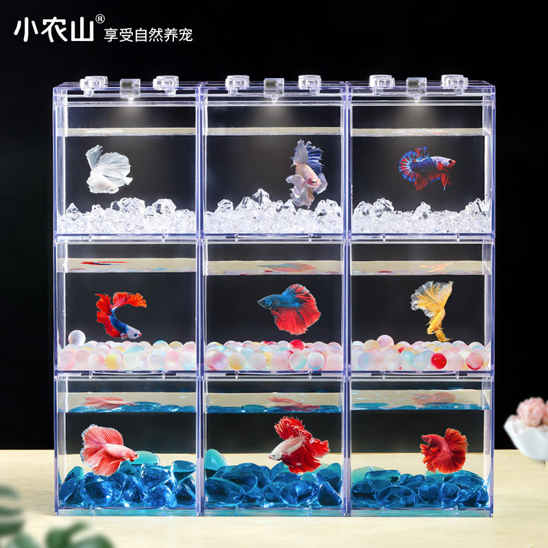 泰国斗鱼专用鱼缸积木观赏鱼小鱼缸隔离盒繁殖缸排缸造景多格桌面
