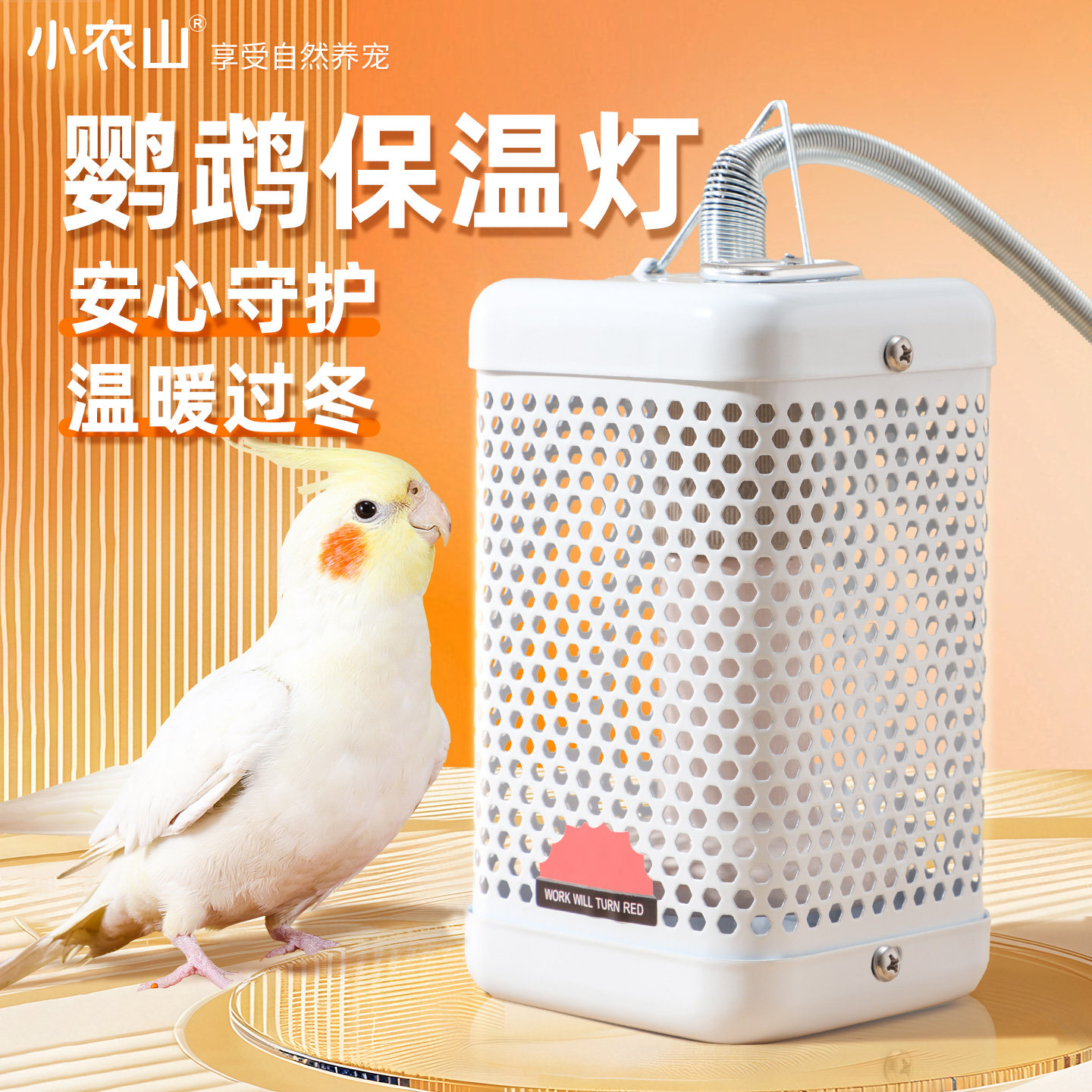 鹦鹉专用保温灯鸟类陶瓷加热灯过冬冬天保暖神器智能温控加热器,宠物/宠物食品及用品,鸟类温控设备,淘宝优惠券,粉丝福利购,淘宝优惠卷