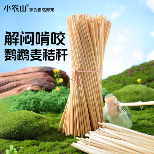 鹦鹉麦秸秆专用磨牙棒磨嘴器