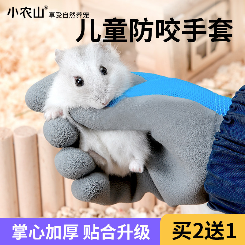儿童成人仓鼠防咬手套抓宠物兔子鹦鹉蜜袋鼯用品猫咪狗狗防抓专用,宠物/宠物食品及用品,玩具/造景装饰,淘宝优惠券,粉丝福利购,淘宝优惠卷