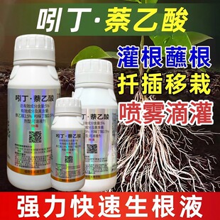 5%吲丁萘乙酸吲哚萘乙酸生根剂移栽扦插灌根生根粉通用快速生根液