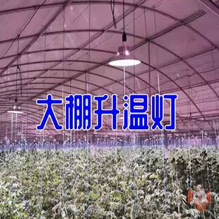 大棚专用升温灯大鹏增温灯温室种植蔬菜花卉取暖器补光灯生长草莓