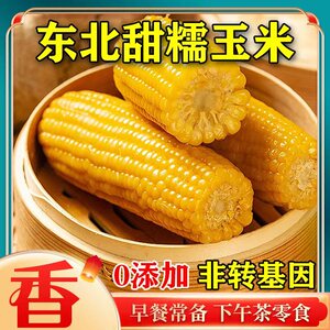 玉米糯粘玉米棒苞米10支新鲜摘甜黏玉米粒非即食真空粗粮5只装