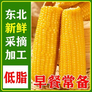 东北甜糯玉米棒新鲜香糯粘黏苞米当季黄玉米脂减饱腹真空非即食